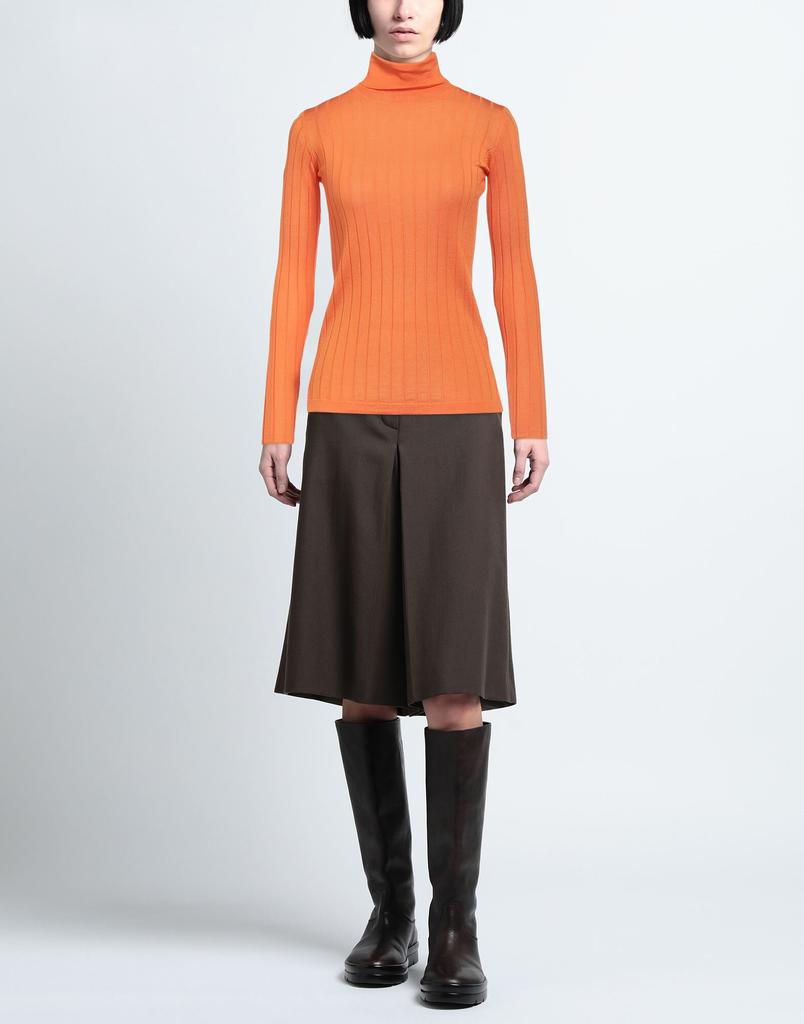 Aragona Turtleneck