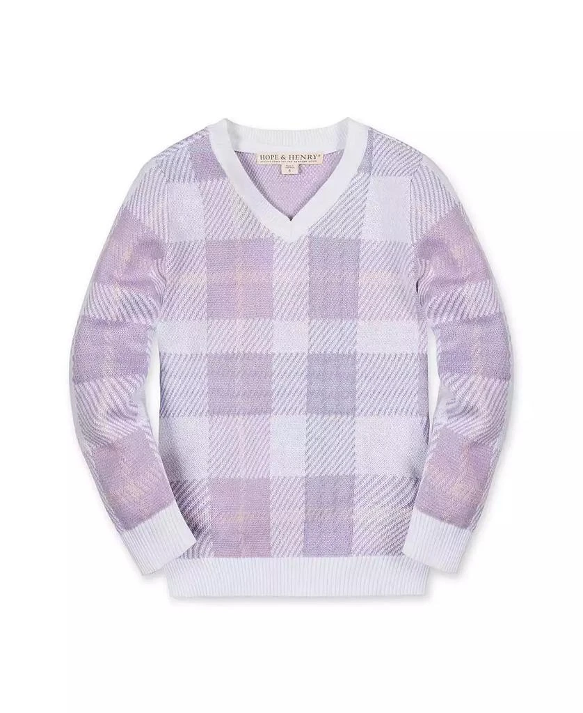 Hope 
Henry Toddler Boys Organic Long Sleeve V-Neck Intarsia Sweater