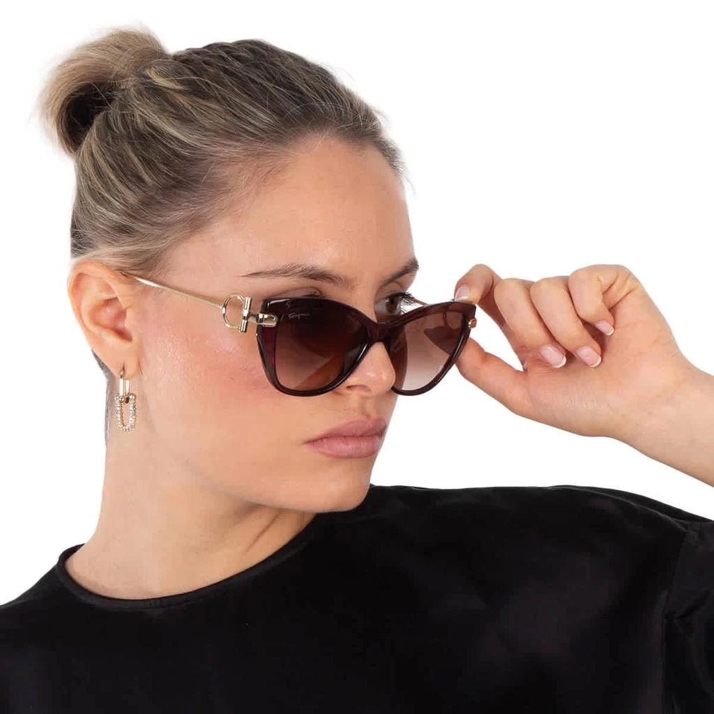 Brown Gradient Cat Eye Sunglasses SF928S 606 55 – On Sale  display picture 1