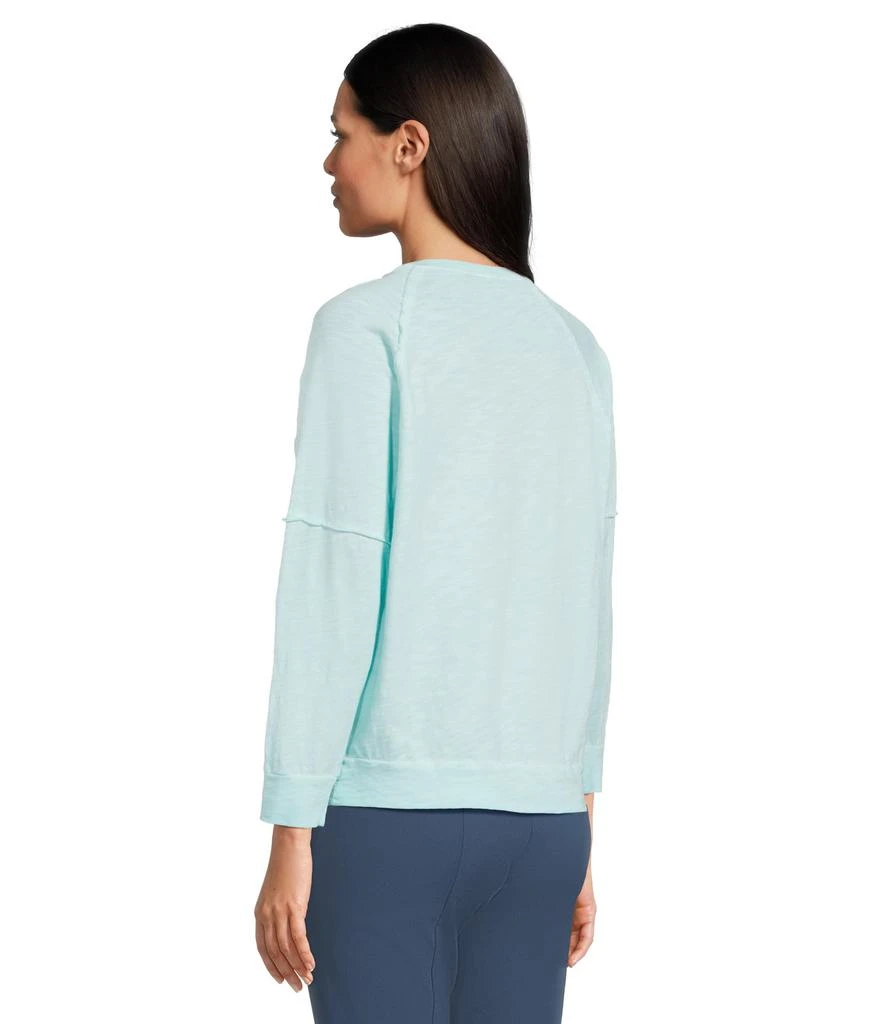 Elliott Lauren Enzyme Wash Jersey - Raglan Sleeve Tee with Seam Detail 3