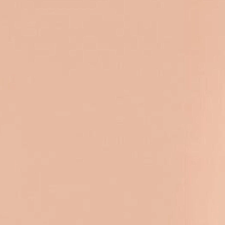 Shiseido Synchro Skin Self-Refreshing Foundation 5