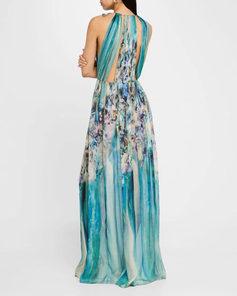 Alberta Ferretti Flower-Print Pleated Chiffon Halter Gown 3