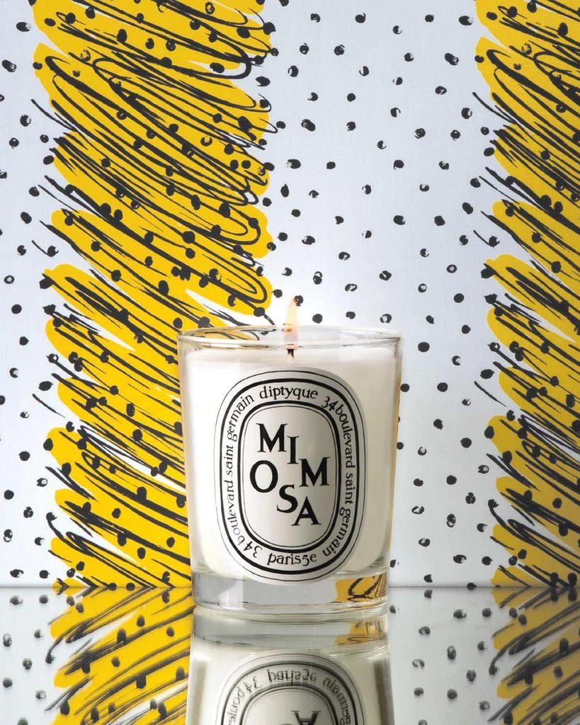 Diptyque Mimosa Scented Candle, 6.5 oz. 2