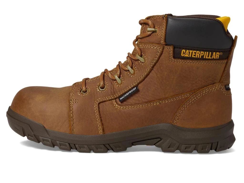 Caterpillar Resorption CT WP 4