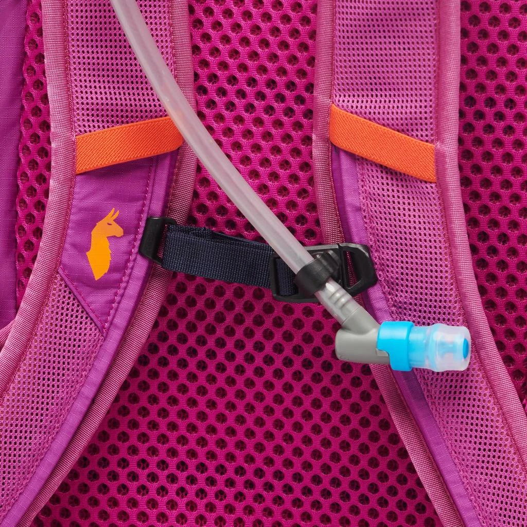 Cotopaxi Lagos 25L Hydration Pack 4