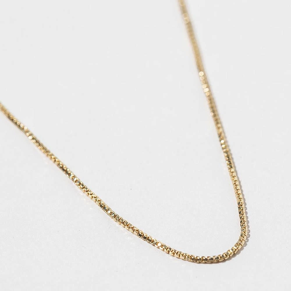 FASHNZFAB Gold Dipped Delicate Box Chain Necklace 2