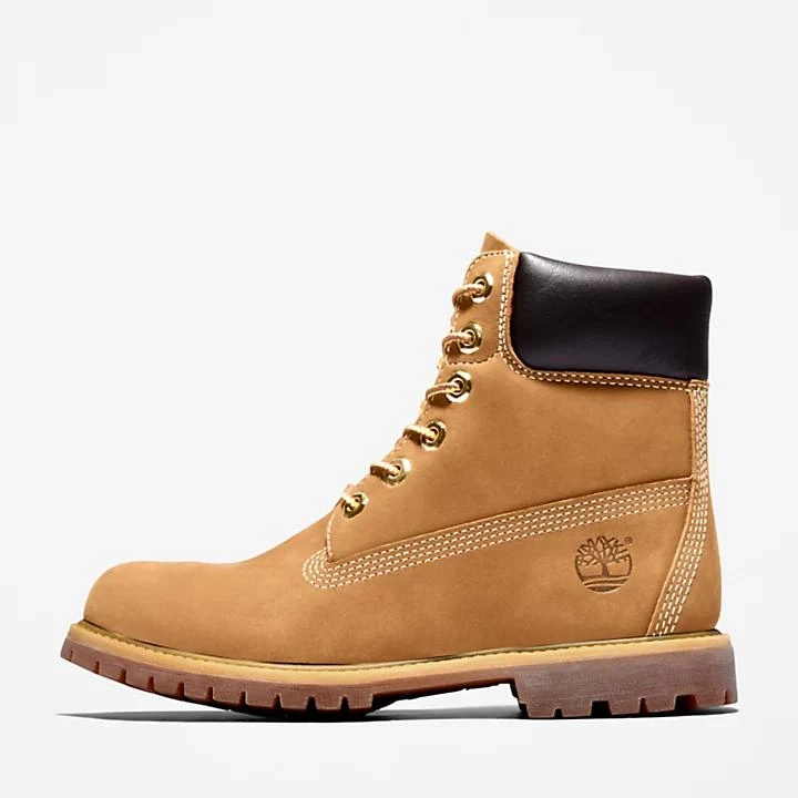 Timberland Women's Timberland® Premium 6-Inch Waterproof Boots in Brown 7