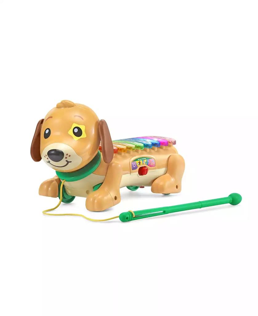 VTech Zoo Jamz Doggy Xylophone