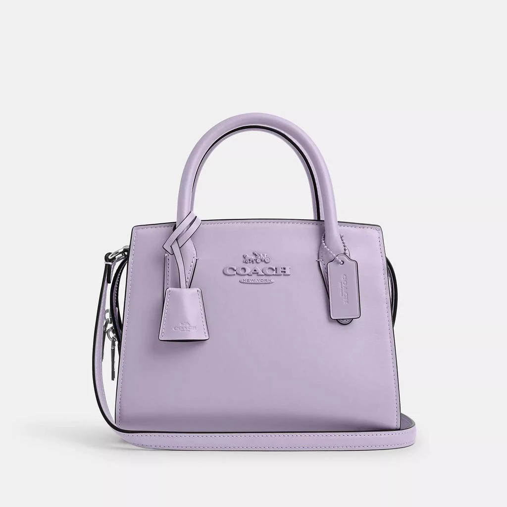 Coach Andrea Carryall 14