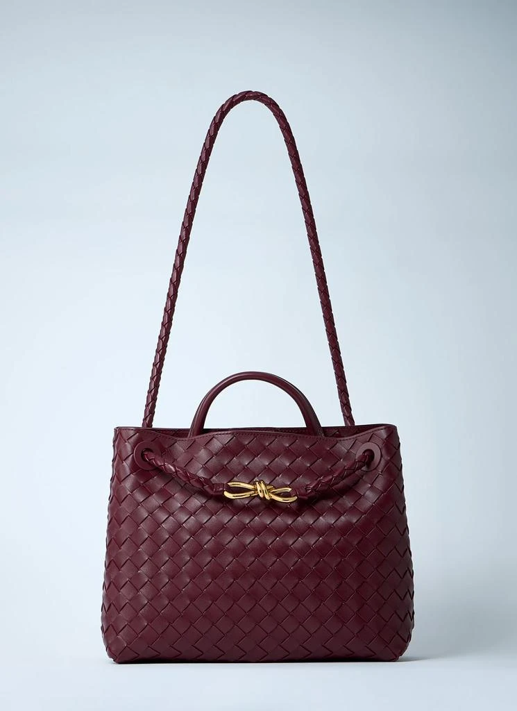 Bottega Veneta Medium Andiamo Handbag 1