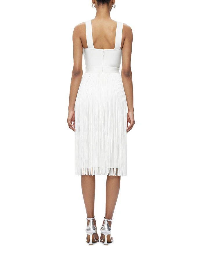 Herve Leger Marion Fringe Dress 3