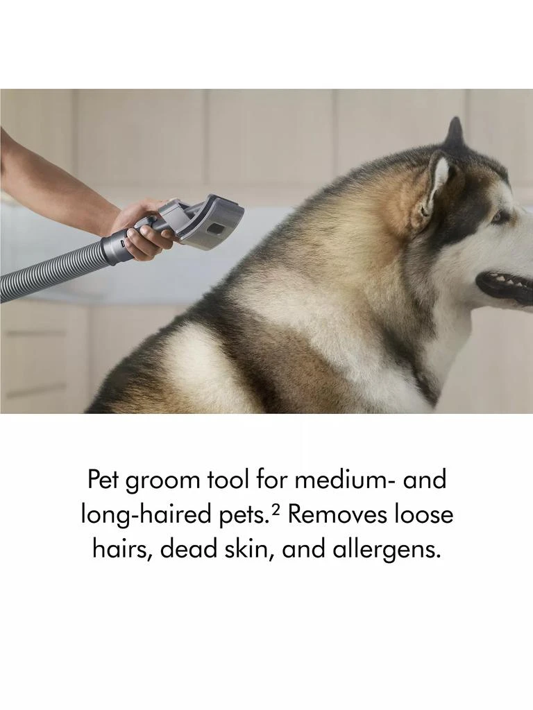 Dyson Ball Animal 3 Extra Upright Vacuum 6