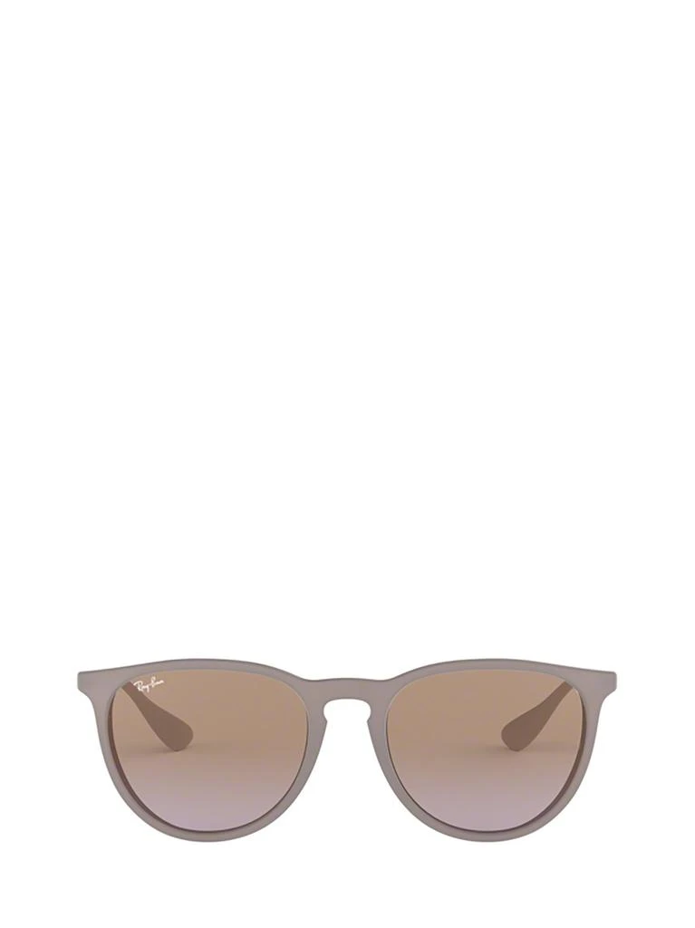 Ray-Ban Ray-Ban Erika Classic Sunglasses 1