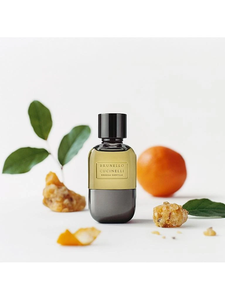 Brunello Cucinelli Incanti Poetici Brezza Gentile Parfum Spray 3