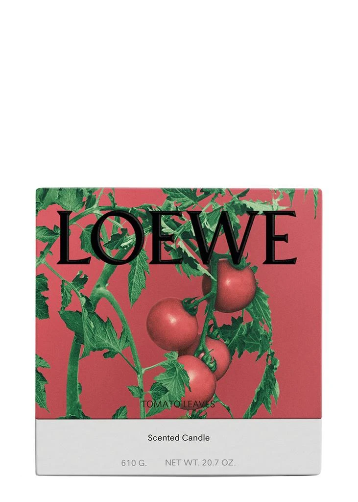 Loewe Tomato Leaves Candle - Medium 610g 2