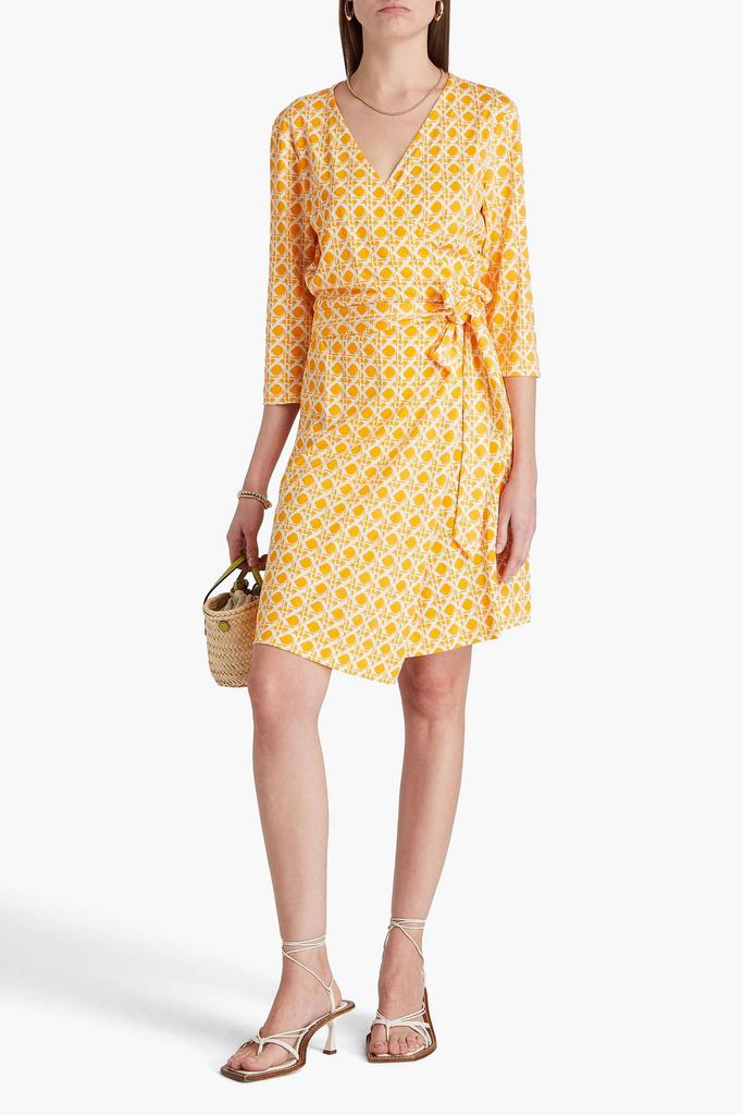 Diane von Furstenberg Julian floral-print silk-jersey mini wrap dress