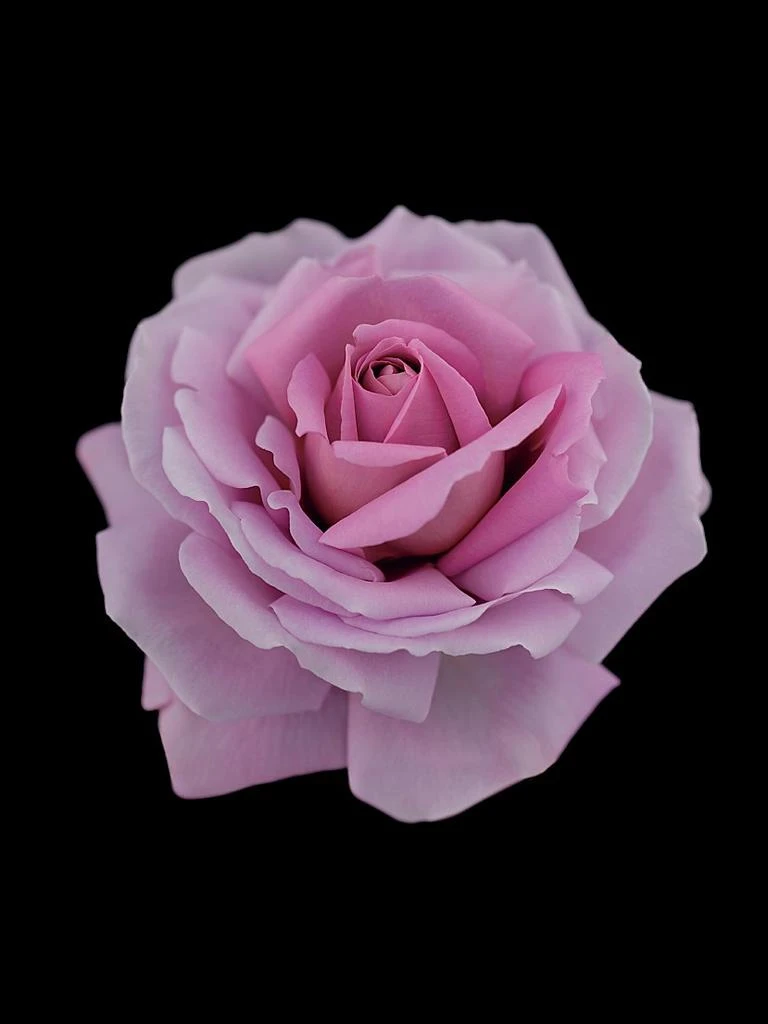 Cle de Peau Synactif Enriched SPF 19 Daytime Moisturizer 4