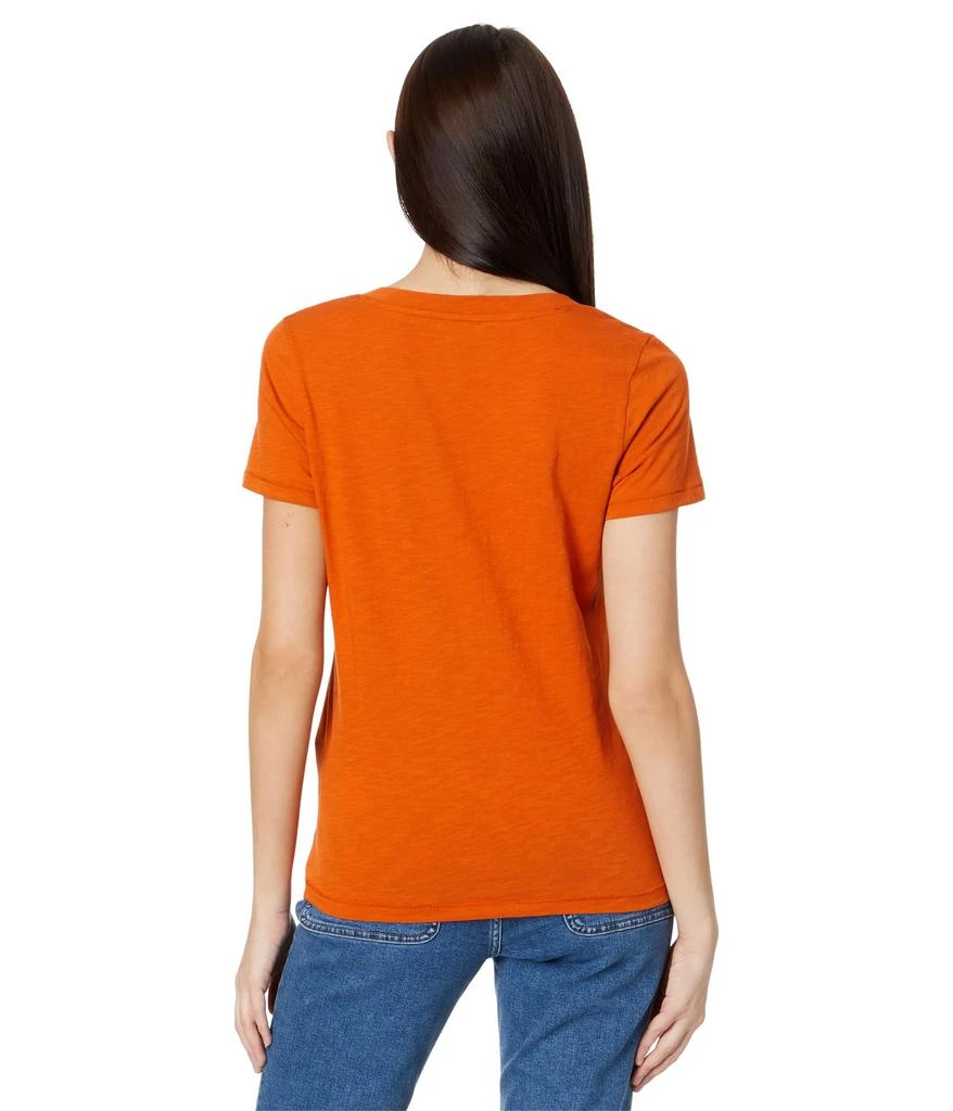 Madewell Whisper Cotton V-Neck Tee 2