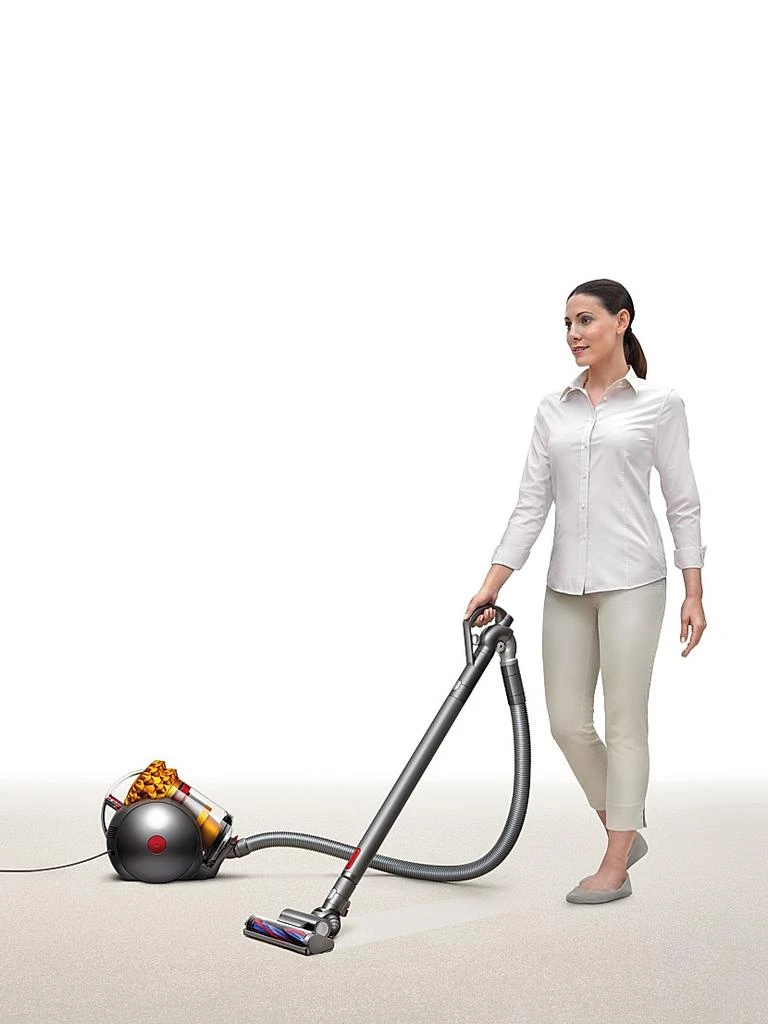 Dyson Big Ball Multi Floor Canister Vacuum 5