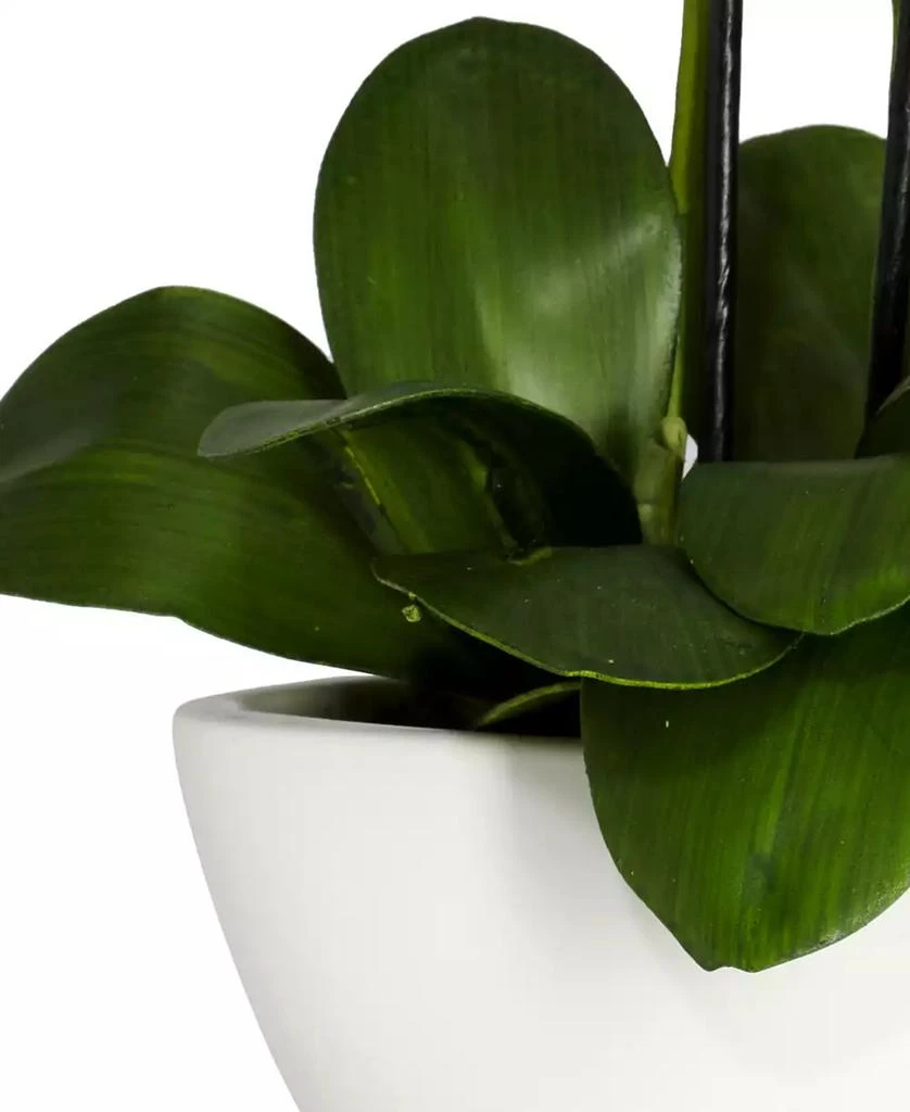 NEARLY NATURAL Phalaenopsis Flower Arrangement 3