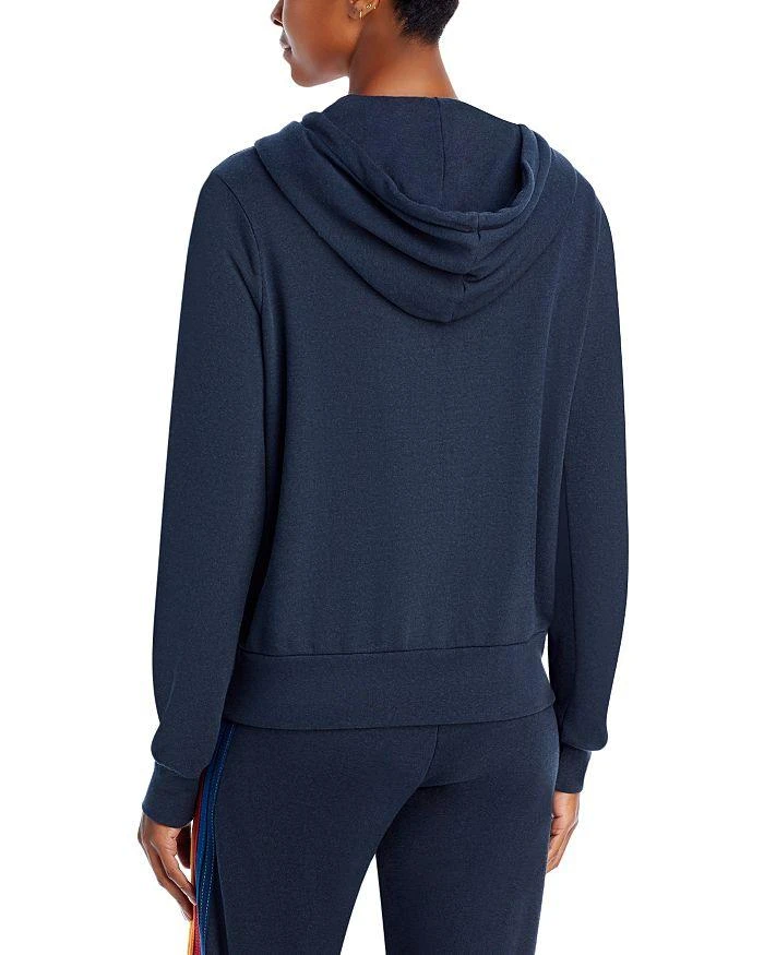 Aviator Nation Rainbow Stripe Hoodie 6