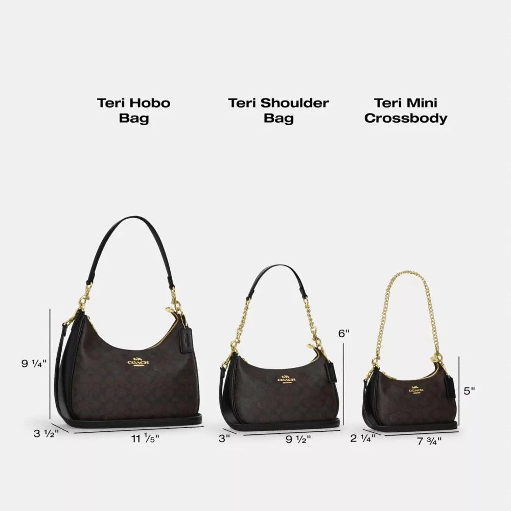 Coach Teri Mini Crossbody Bag 8