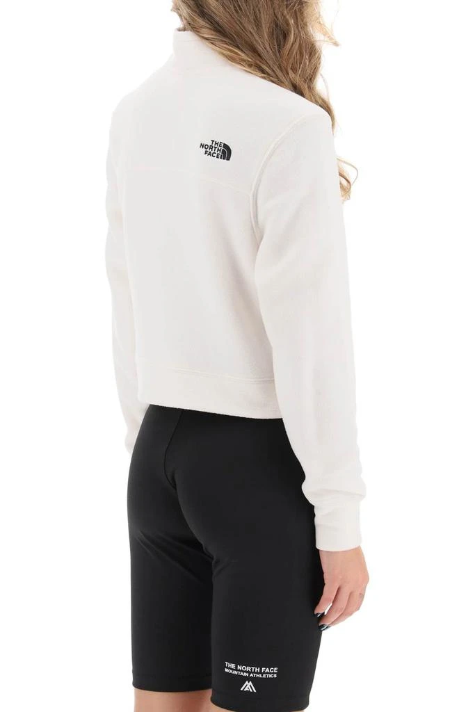 The North Face The North Face Glacer Cropped Half-Zip Fleece Sweatshirt 3