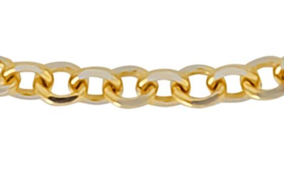 Bony Levy 14K Gold Chain Anklet