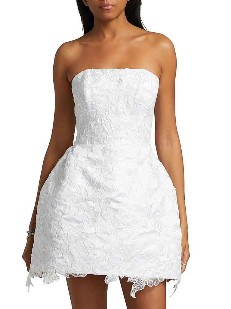 Mariandree Gaitan Sarah Lace Minidress - Dresses & Skirts - Free Shipping -  BeyondStyle