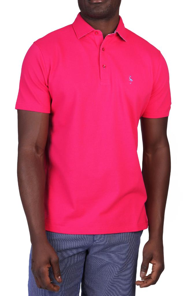 TailorByrd Gingham Trim Piqué Polo