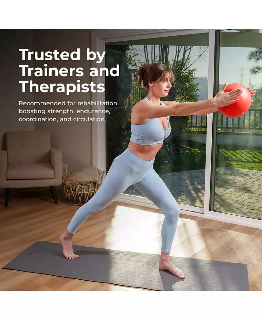 Sunny Health 
Fitness Premium 9" Mini Exercise Ball, Extra Thick Anti-Burst PVC, Non-Slip 
Odorless 7