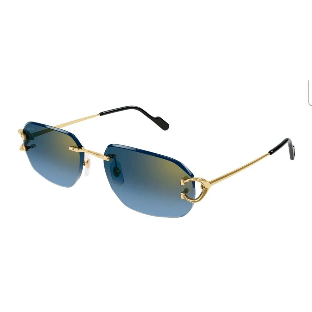 Cartier Eyewear CT0468s 002 Glasses 2