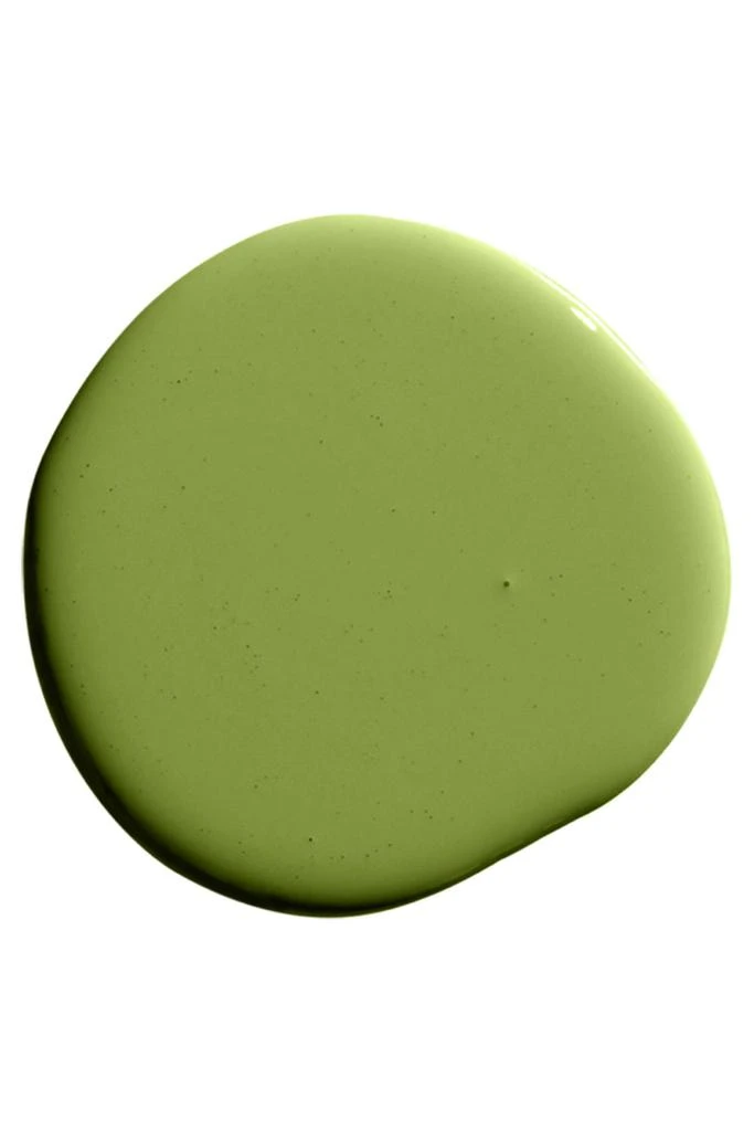 Backdrop Backdrop Standard Finish Paint - 1 Gallon 3