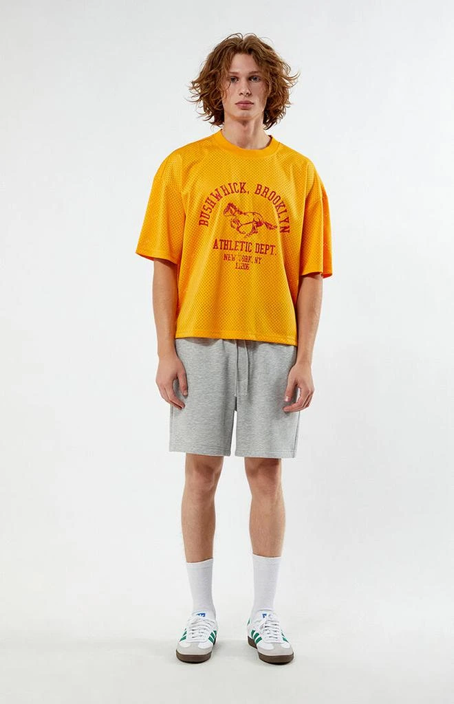 PacSun Leagues Mesh Boxy Cropped Jersey T-Shirt 4