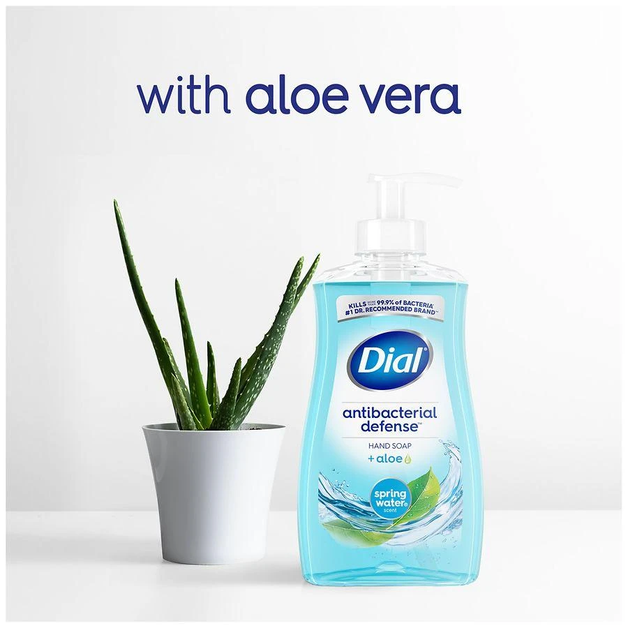 Dial Complete Antibacterial Liquid Hand Soap Spring Water 7