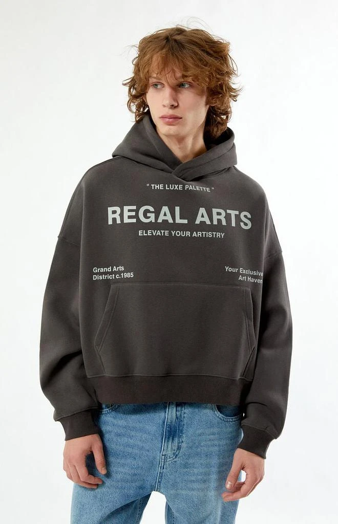 PacSun Regal Arts Cropped Hoodie 1