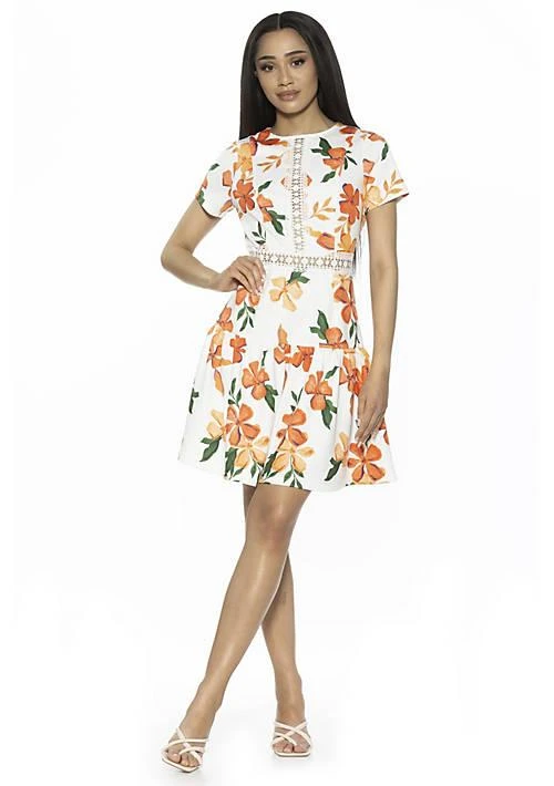 ALEXIA ADMOR Admor Alexa Lace Trim Floral Print Dress 1