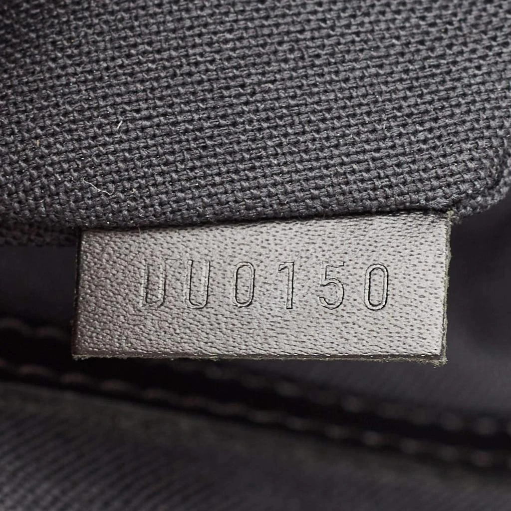 Louis Vuitton Louis Vuitton Damier Graphite Canvas Tadao Bag 10