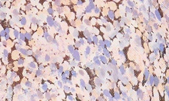 Halogen Print Mesh Button-Up Shirt 6