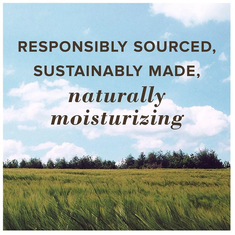Burt's Bees Moisturizing Lip Balm Mint Cocoa 6
