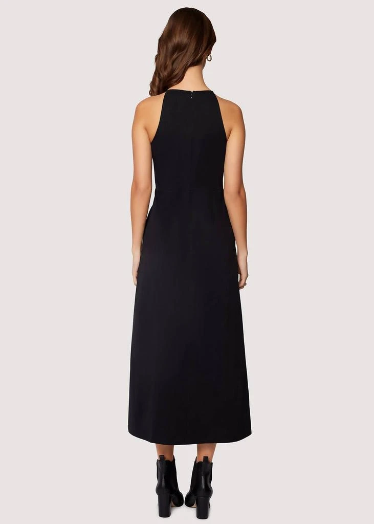 Lost and Wander Giardino Maxi Dress In Black 3