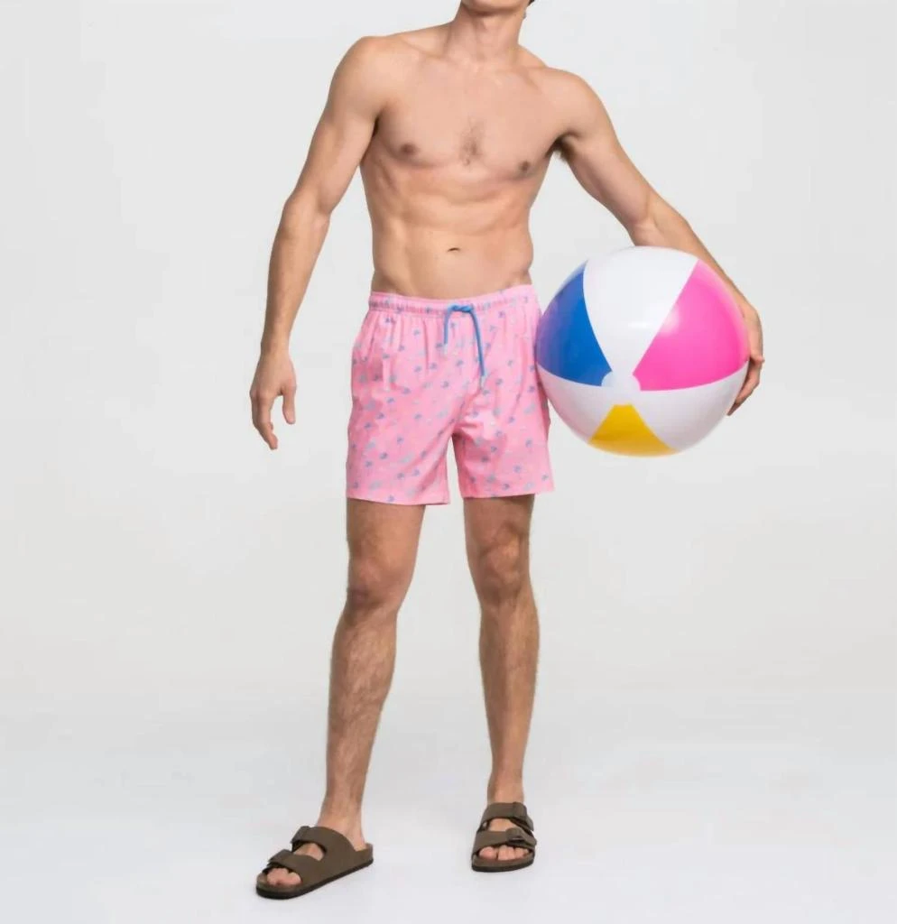 Southern Shirt Company Men's Swim Shorts In Pirate Cove 2
