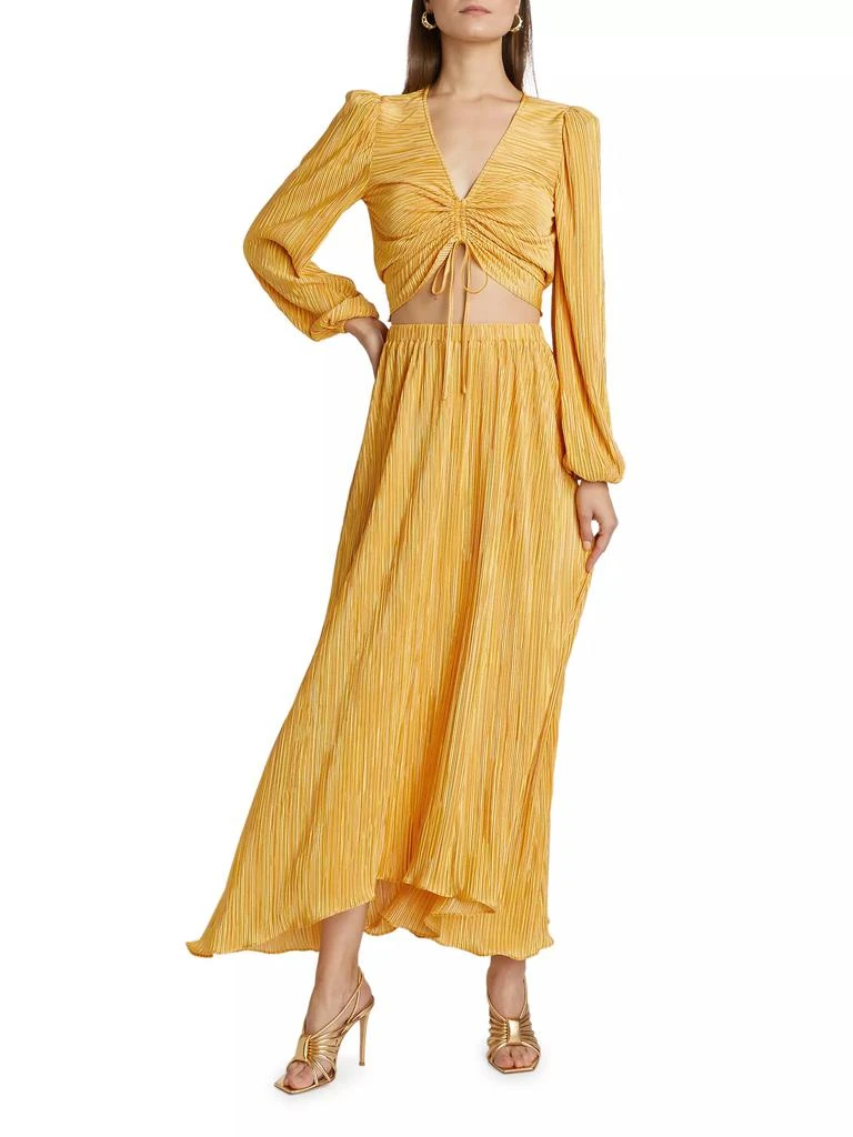 Ramy Brook Gwendolyn Pleated Maxi Skirt 2