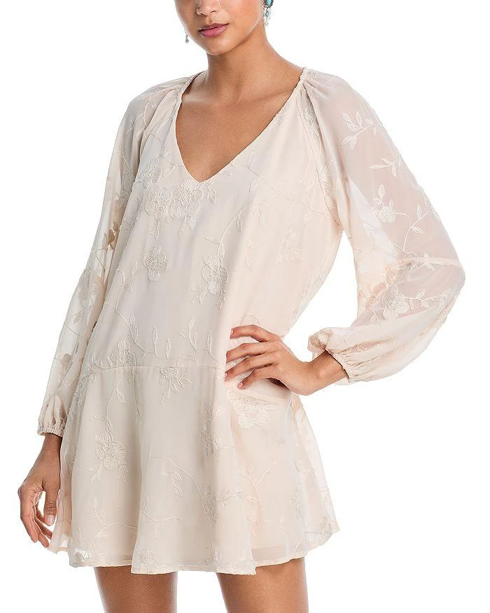 Shop Embroidered Floral Chiffon Mini Dress - Exclusive on Sale at  BeyondStyle  Get 71% Off Embroidered Floral Chiffon Mini Dress - Exclusive  with Limited-Time Flash Deals, Exclusive Discounts, and Special Offers.