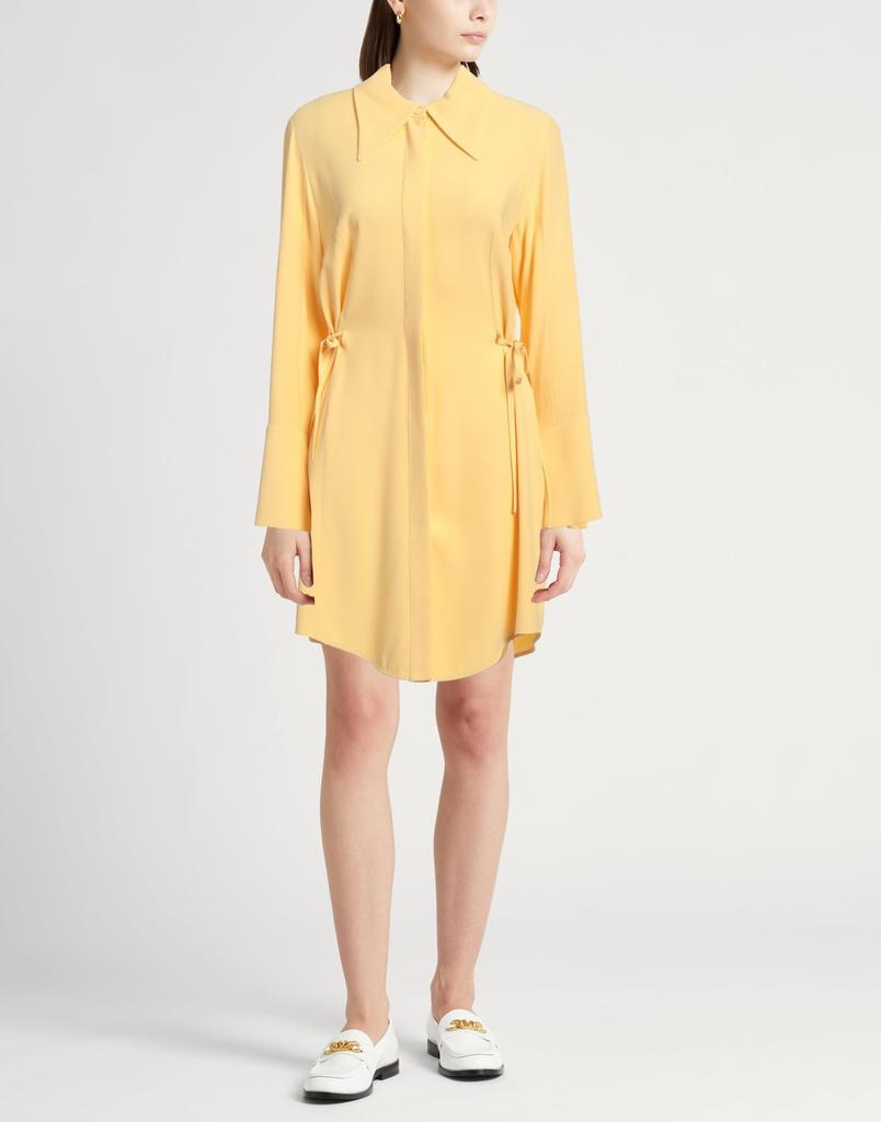 ERIKA CAVALLINI Shirt dress