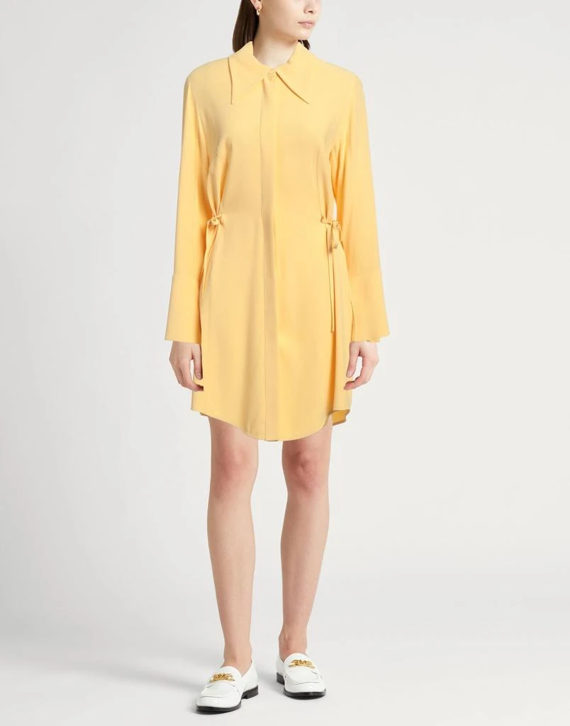 ERIKA CAVALLINI Shirt dress 2