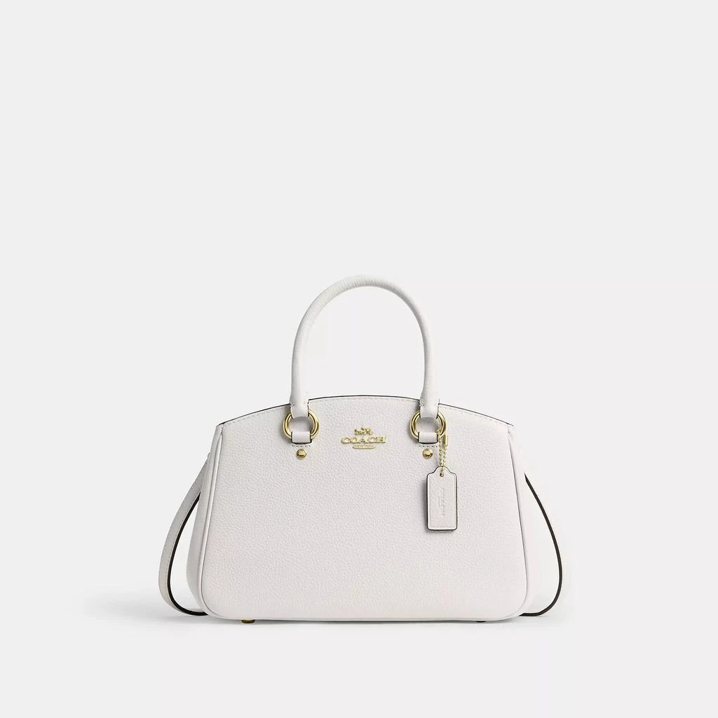 Coach Savannah Small Carryall Bag 9