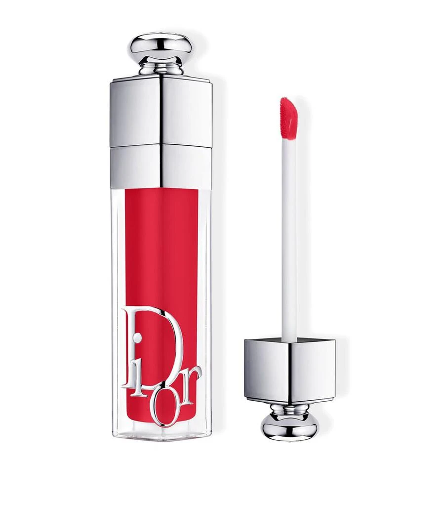 Dior Dior Addict Lip Maximizer 1