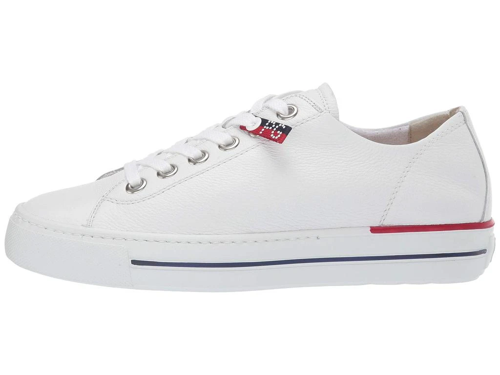 Paul Green Carly Sport 2