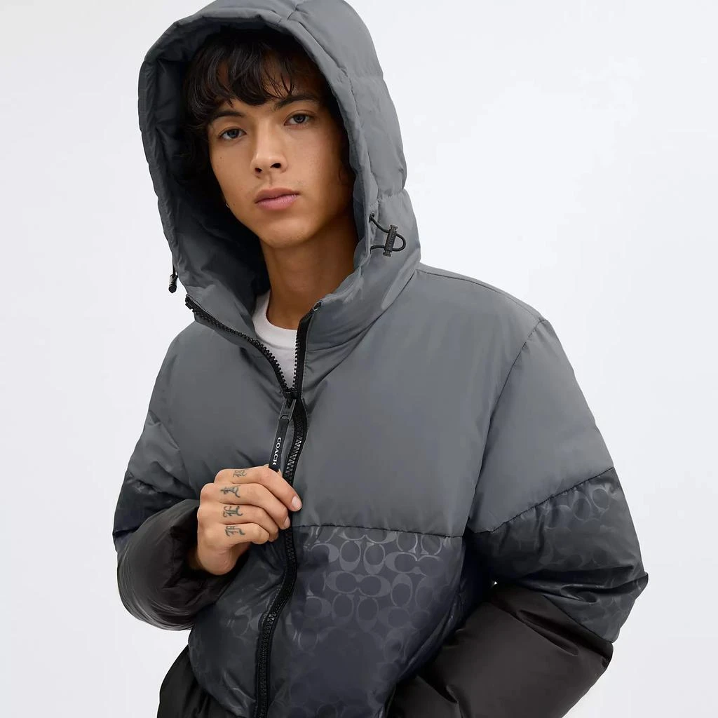 Grey Colorblock Puffer Jacket Color Block Coach Puffer Jacket Mens